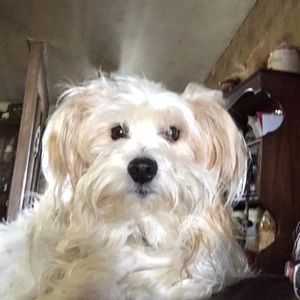 Meet your Posher, Renee